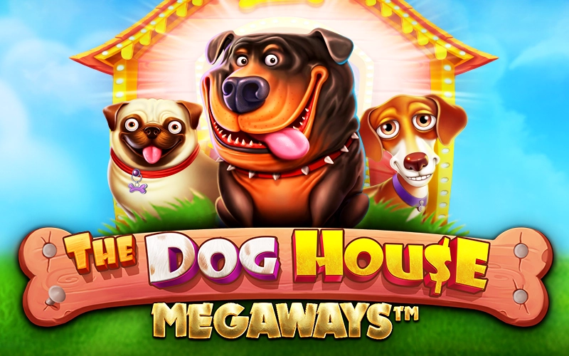 Unleash the fun in 1win The Dog House Megaways with thousands of ways to win and sticky wild features.